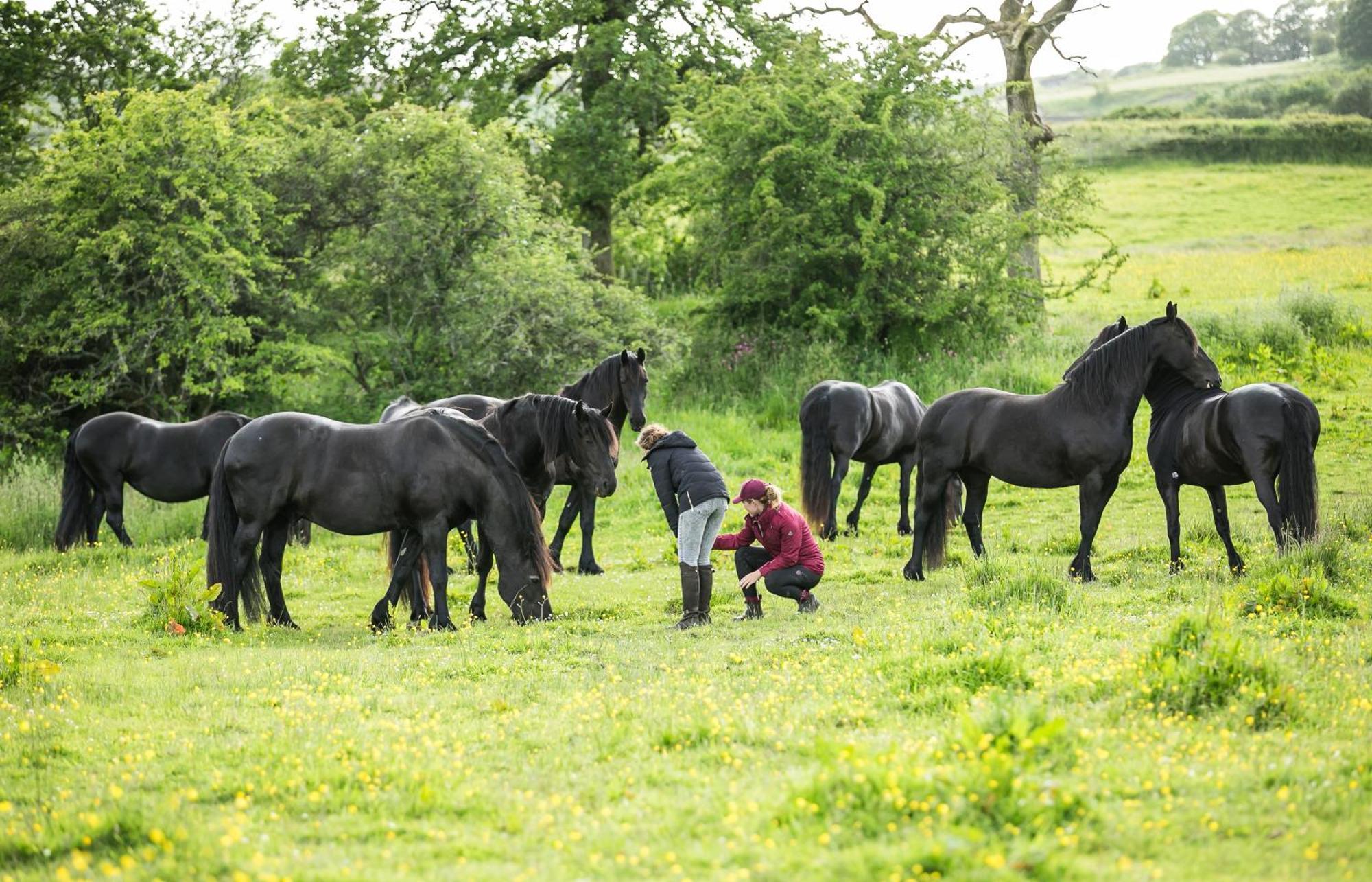 Greenbank Farm House Cartmel Bagian luar foto