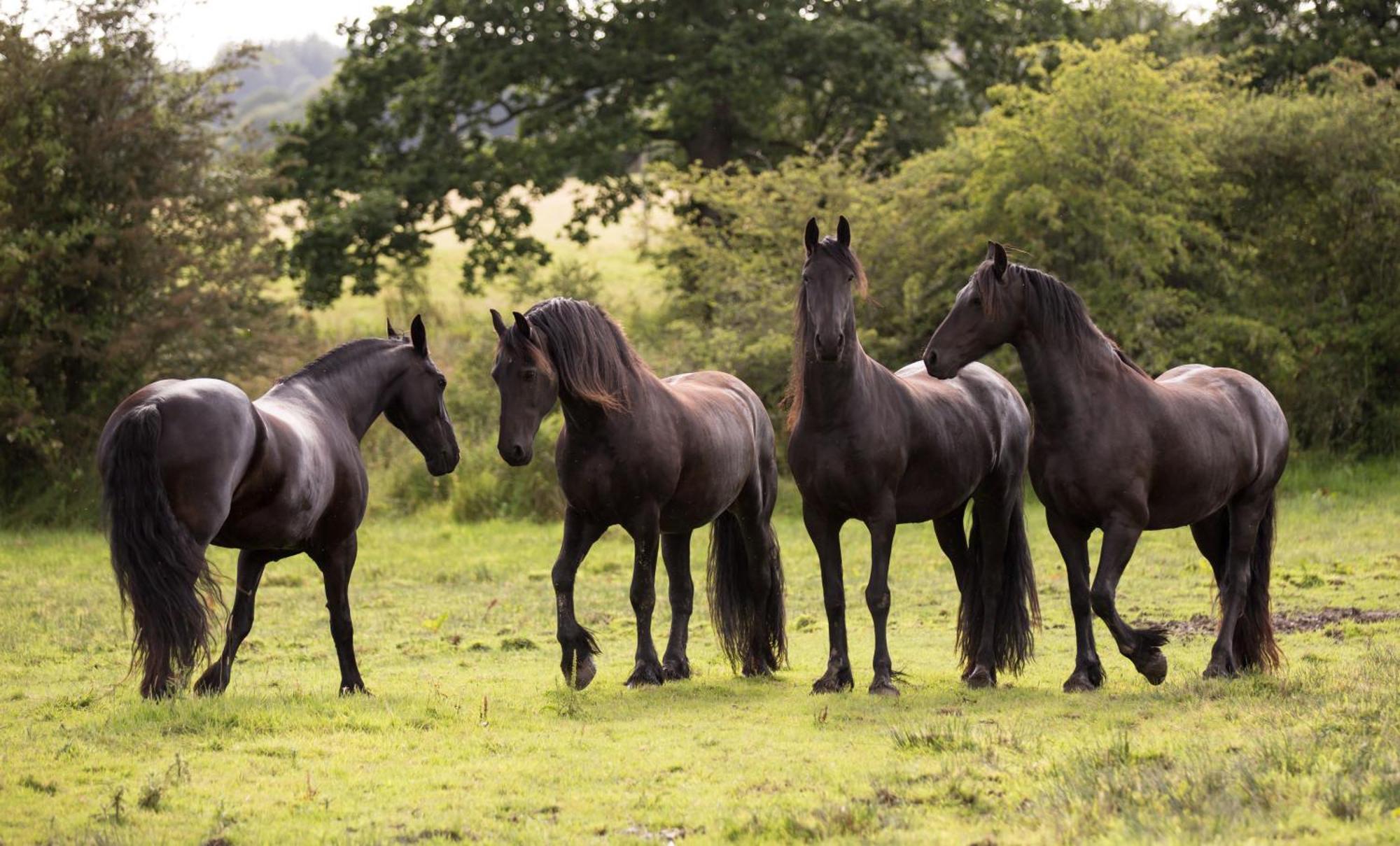 Greenbank Farm House Cartmel Bagian luar foto