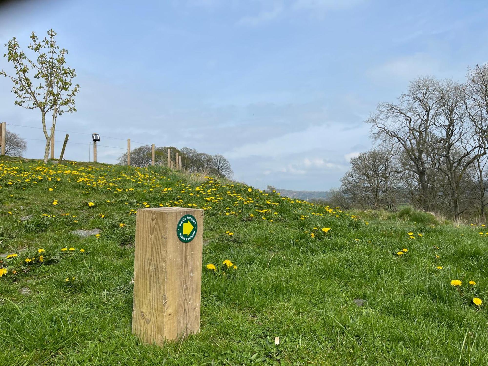 Greenbank Farm House Cartmel Bagian luar foto